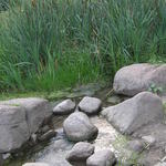 P7230152