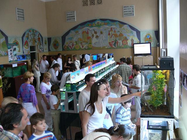 Donetsk-2008.042