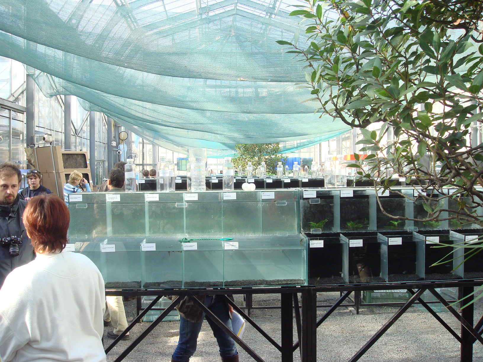 перед аукционом