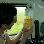 Кирилл и улов