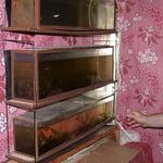 Хозяйство 4