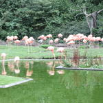 в зоопарке Копенгагена