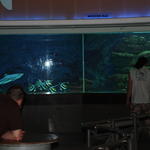 Лейпцигский зоопарк(аквариум)