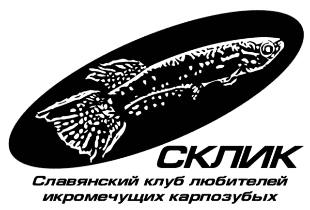 LogoB_W