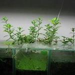 Безымянный06