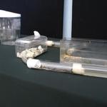 Изображение 151