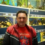 Сергей Плешешников