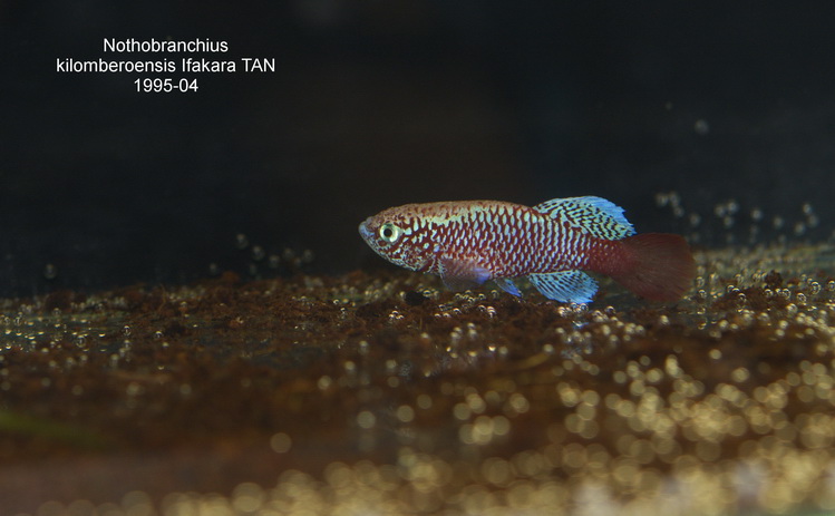 _DSC0056-1_?????????? ???°?·???µ??.jpg